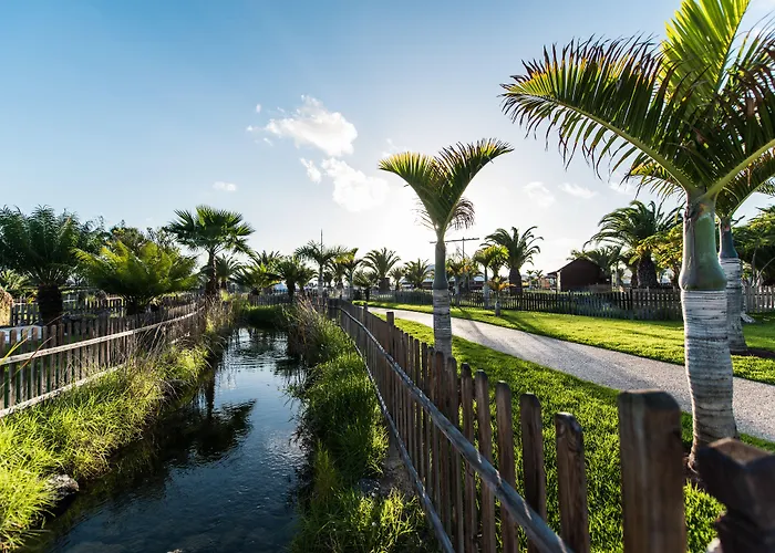 Thb Tropical Island 4*